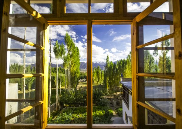 Cost of Wood Window Replacement in Largo